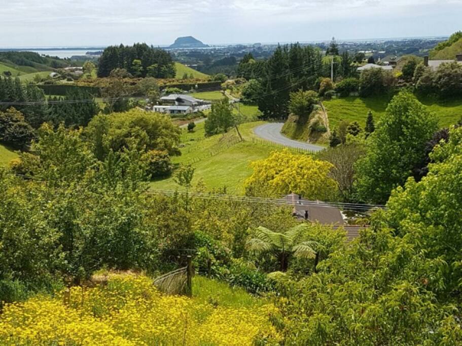 View to Mount Maunganui