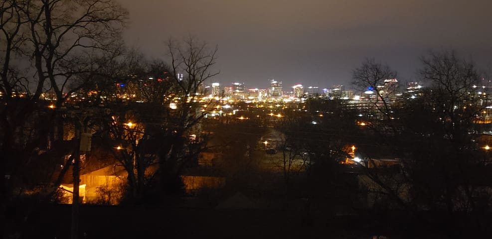 Glamorous Dtown/RFTOP Deck/10 Beds/2nd Home Option gallery image 3