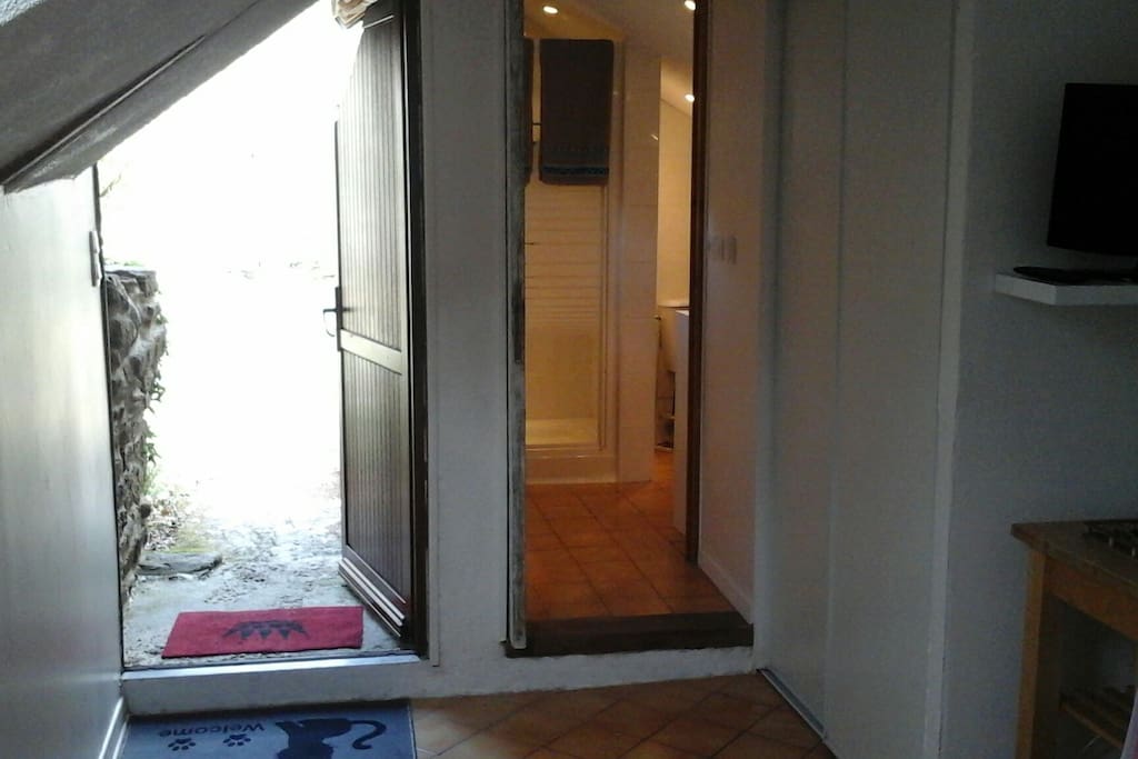 Depuis la chambre, l'entrée à gauche et la salle de bain à droite