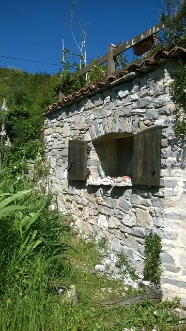Fenêtre de la chambre.