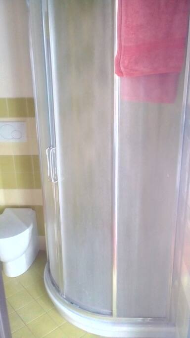 Bagno privato con doccia, WC e lavandino.