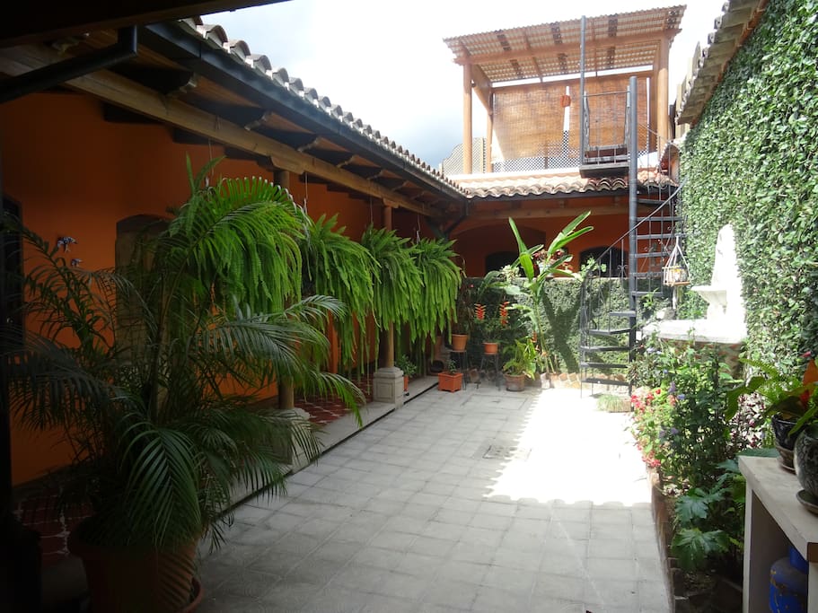 Patio central y terraza
Central patio and terrace