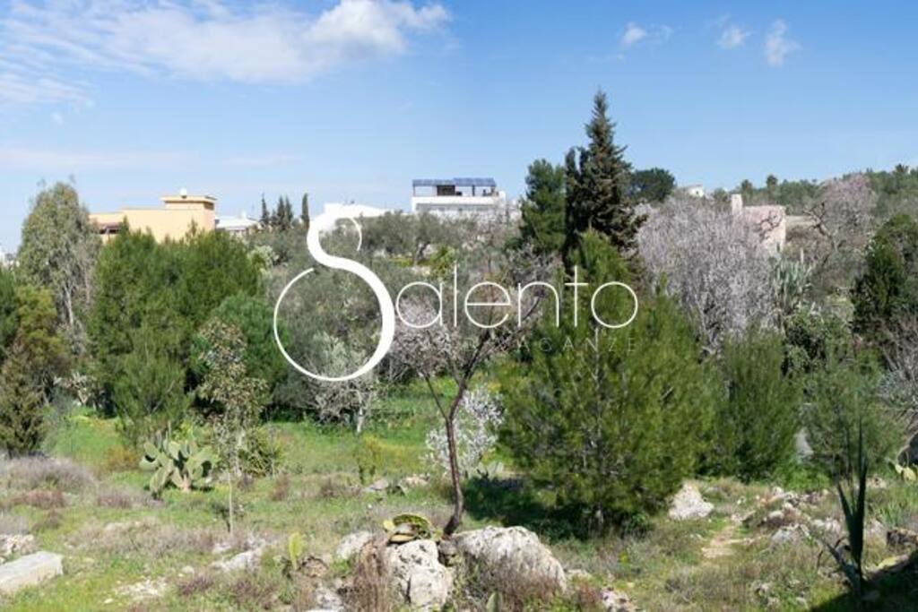 Giardino adiacente