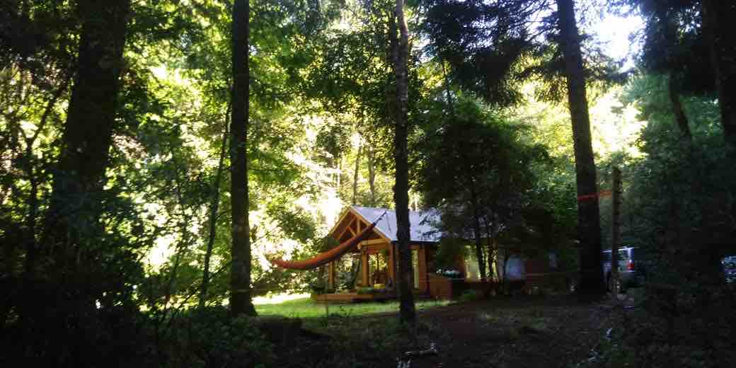 A wood cabin is nestled among tall trees in a native forest, with sunlight filtering through the foliage. A hammock hangs nearby, and the cabin features a rustic design with a sloped roof and covered porch, inviting relaxation in the tranquil surroundings.