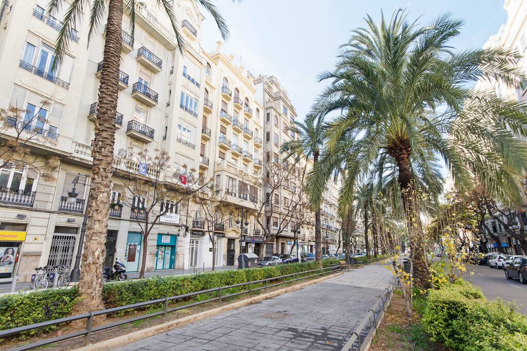 AVENIDA AJARDINADA