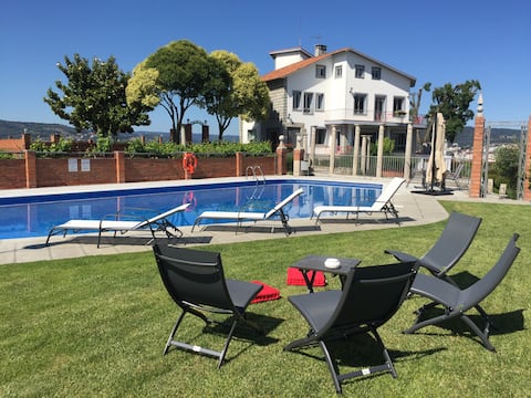 Olive grove in Ourense city