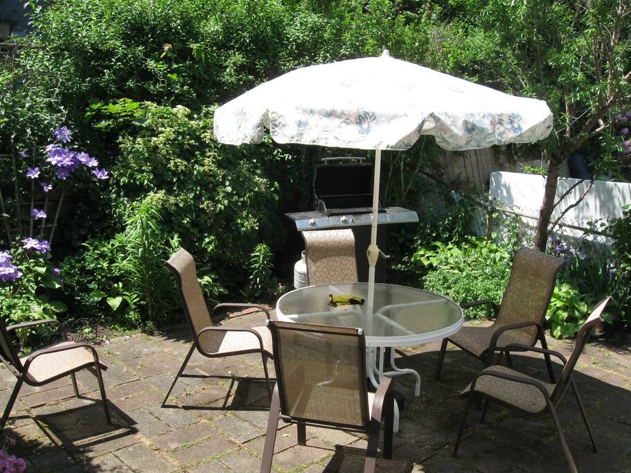 Back patio