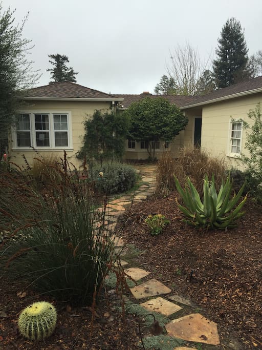 front yard and front of house.