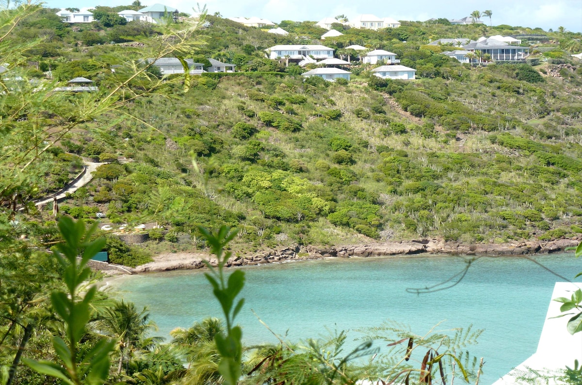 A panoramic view captures the greenery of the hillside, dotted with coastal homes. The clear blue water of the bay reflects the surrounding landscape, enhancing the natural beauty of the area. Lush vegetation frames the foreground, contributing to the serene coastal setting.