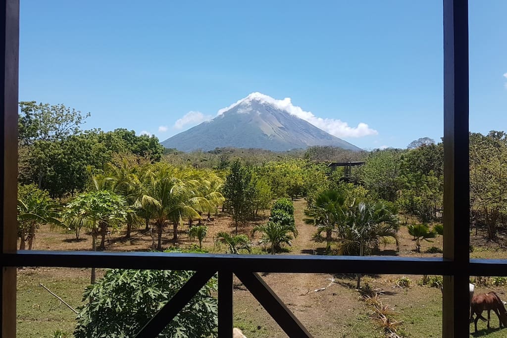 el concepción
