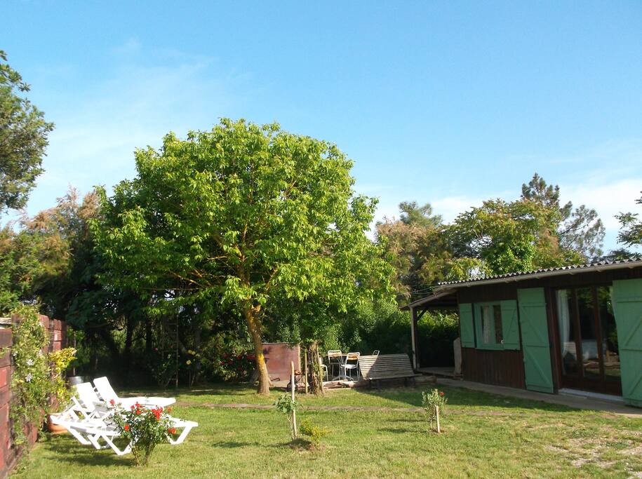 Espace bains de soleil