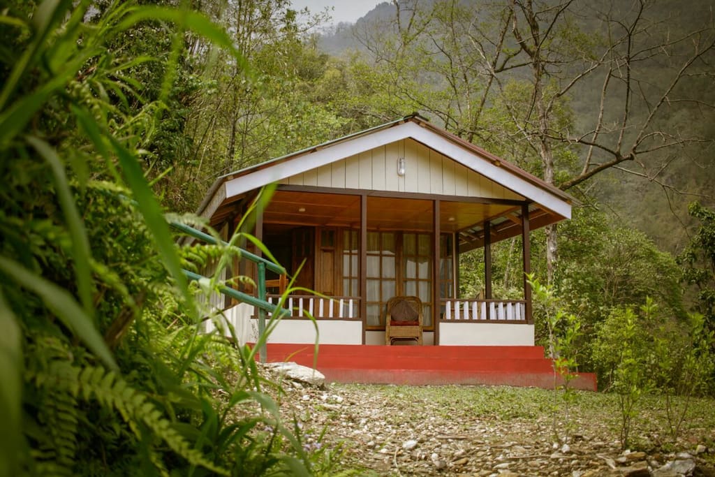 Walnut Cottage located amidst the lush green forest.