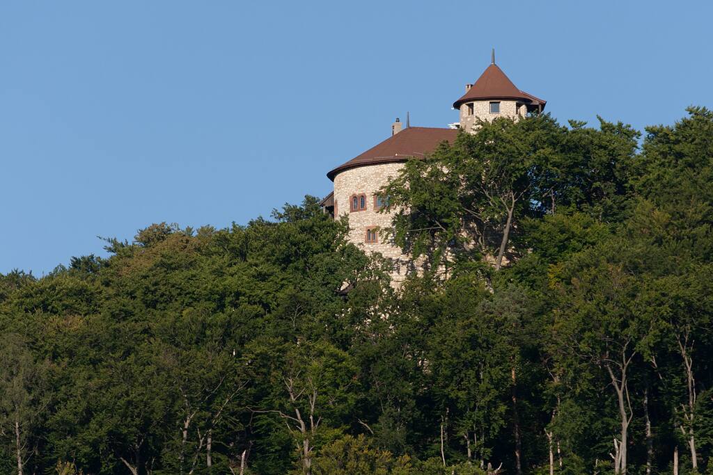 Burg Rychenstein bei Arlesheim
