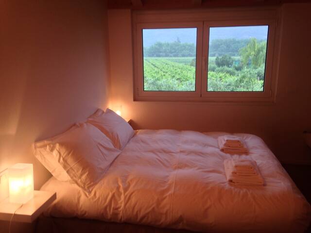 Room in new charming apartment