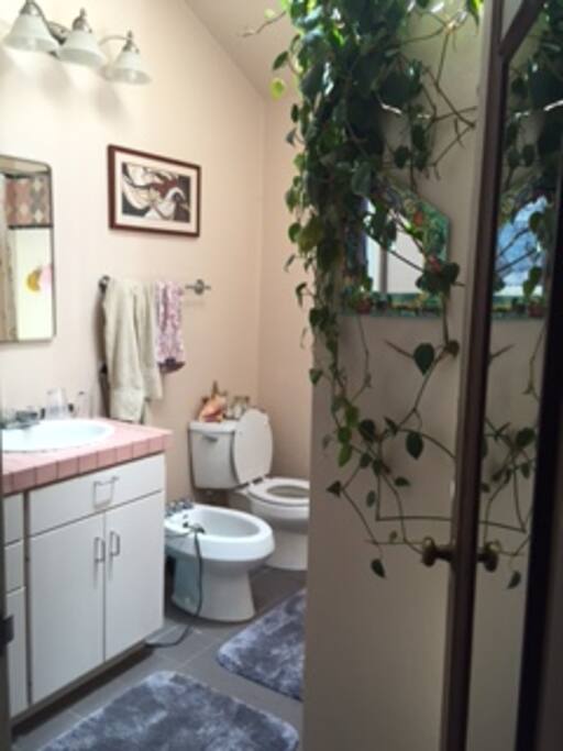 Shared bathroom (bath/shower)