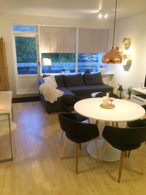 Living room and kitchen