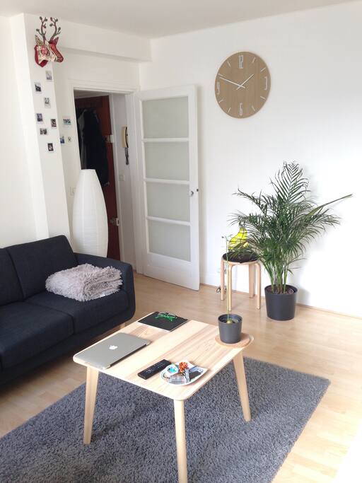 Salon / Living Room