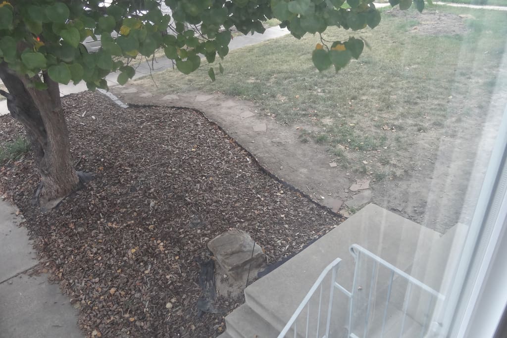 Look from the room window!