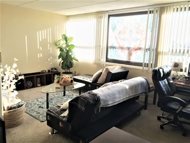 Private Room for COMLEX/USMLE/Vacation near O'Hare