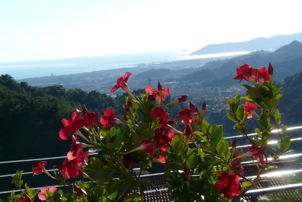 Breath-Taking view of the see