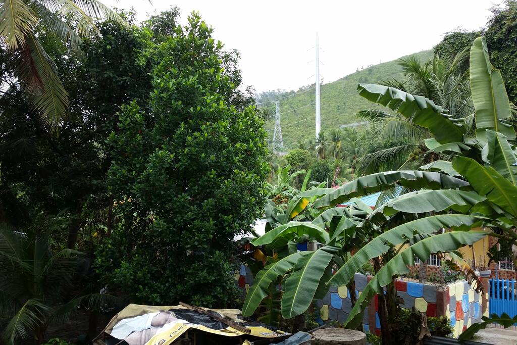 view from 2nd floor