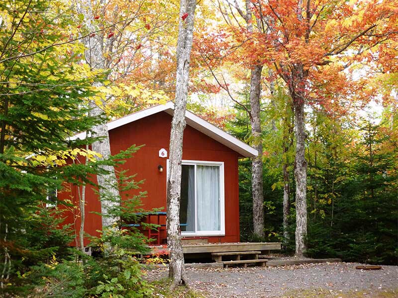 A cozy red cabin is nestled among vibrant autumn trees, showcasing a combination of red and orange foliage. A wooden deck extends from the entrance, featuring a simple chair. A large window allows natural light to illuminate the interior.