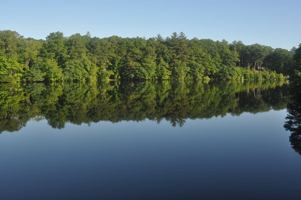 You can swim in the lake and borrow our canoe. Good fishing! (No motorboats or jet skis allowed.)