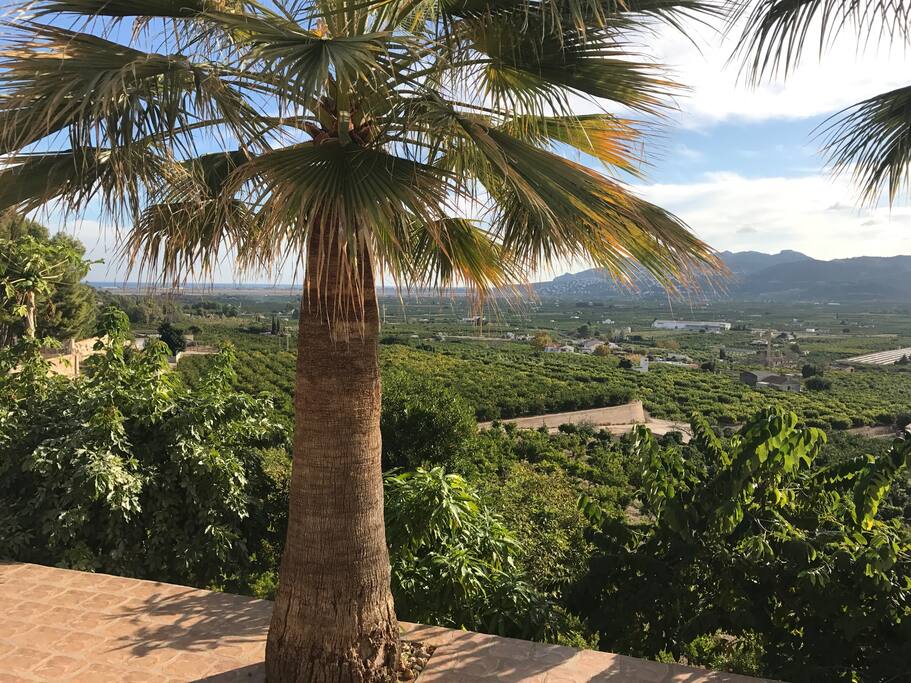 Vue à 180°