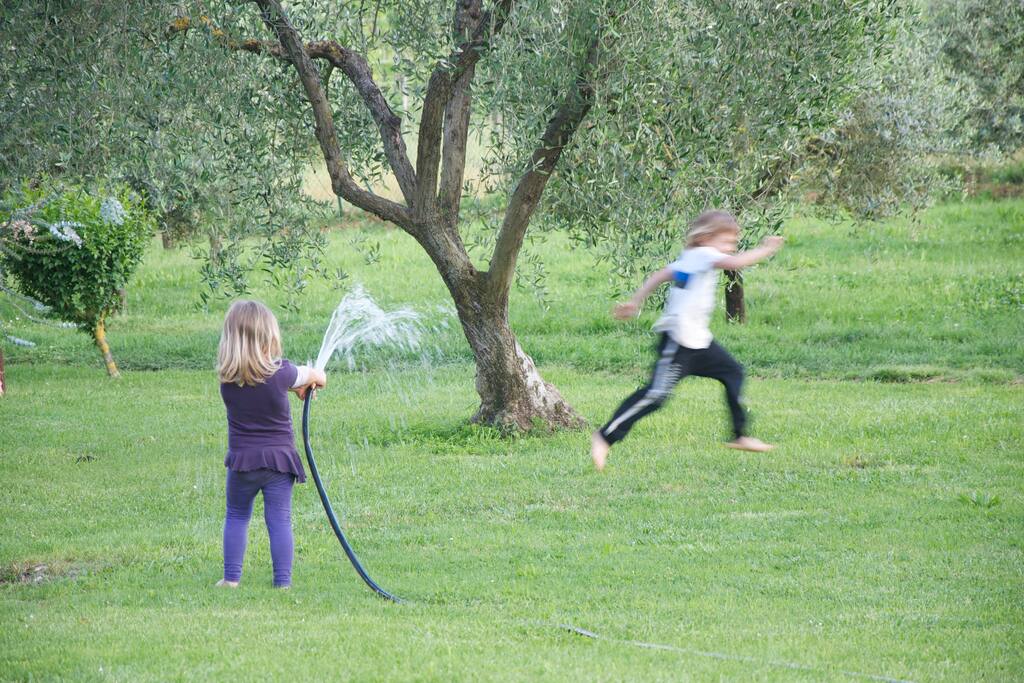 Annaffiando il prato