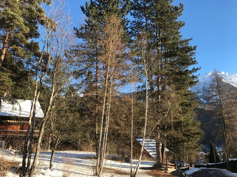 Un Chalet dans les arbres
