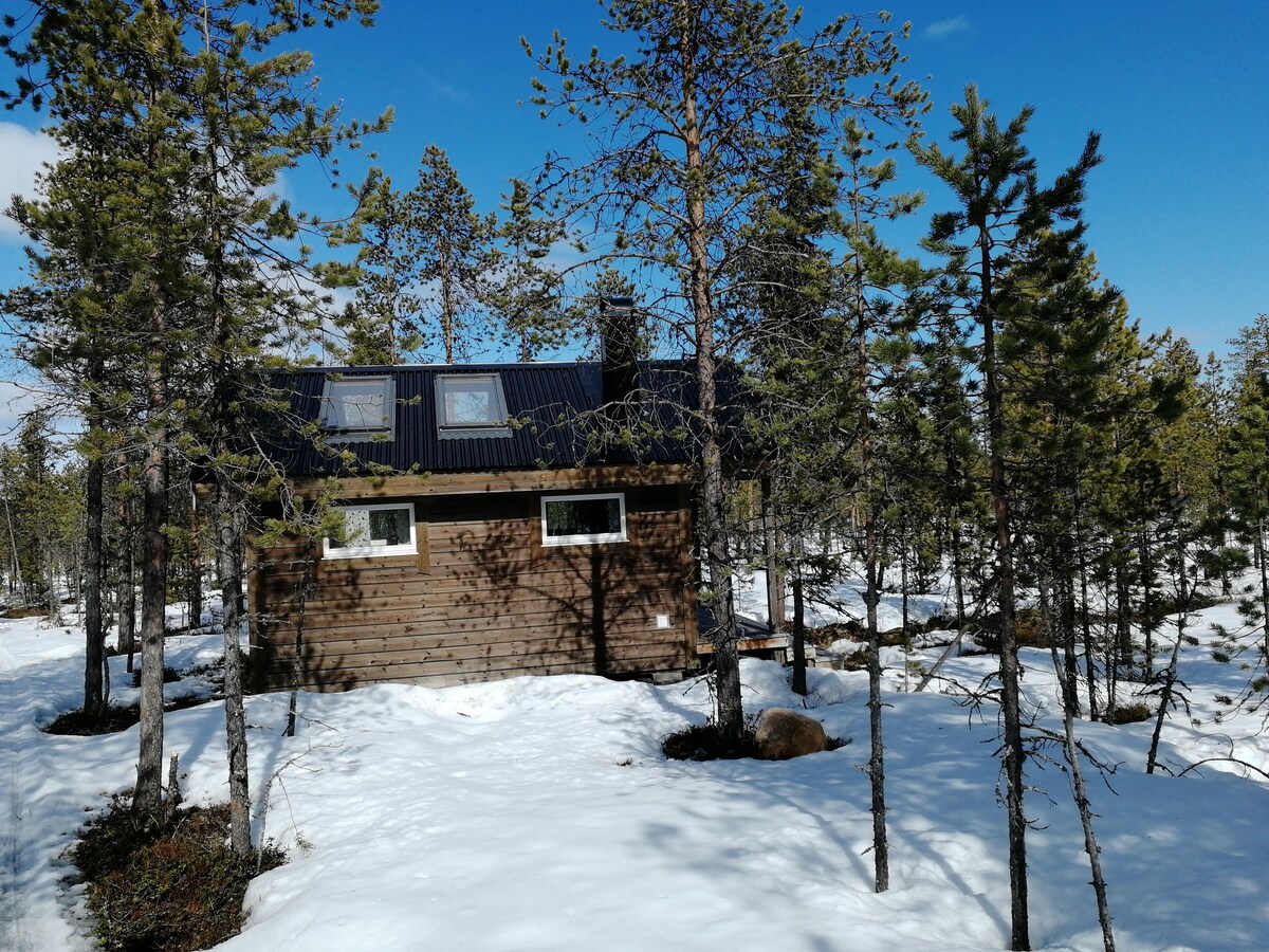 A cozy cabin is surrounded by snow-covered ground and tall trees. Sunlight filters through the branches, highlighting the cabin's wooden exterior. Two windows and a chimney are visible on the roof, blending harmoniously with the natural landscape.