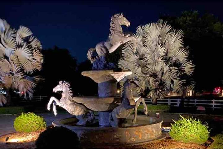 4/4, Huge pool, mini-golf & barn gallery image 2