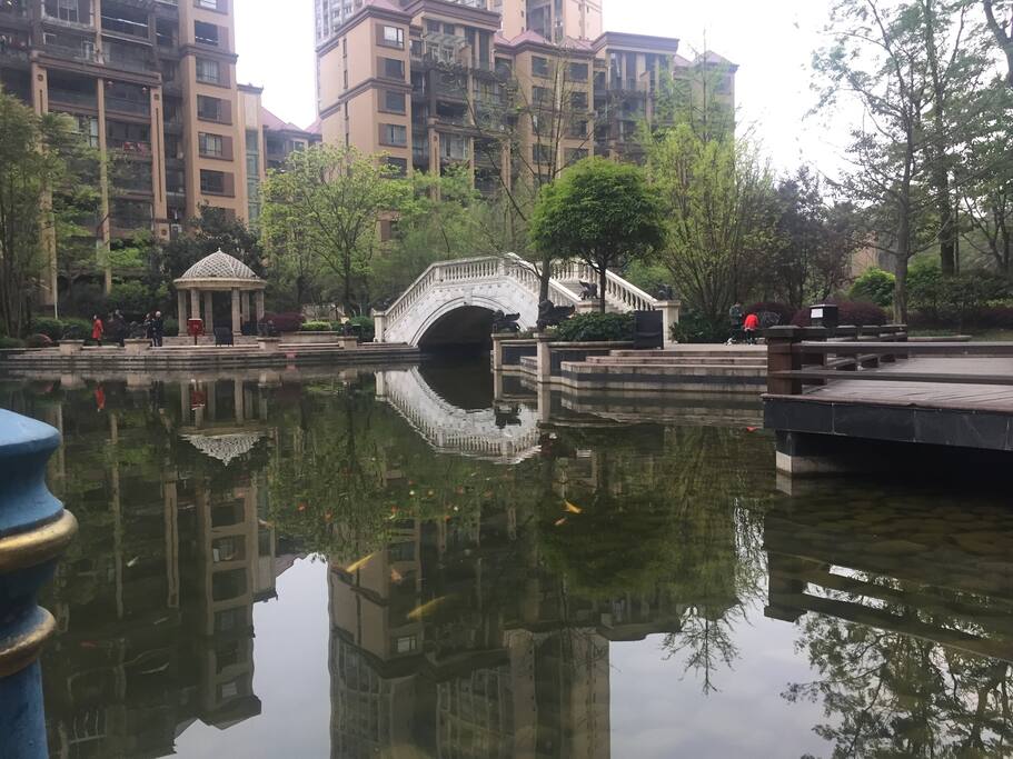 The beautiful scenery of block小区园景