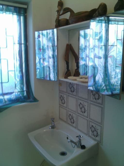 Small but light and clean shower and loo
