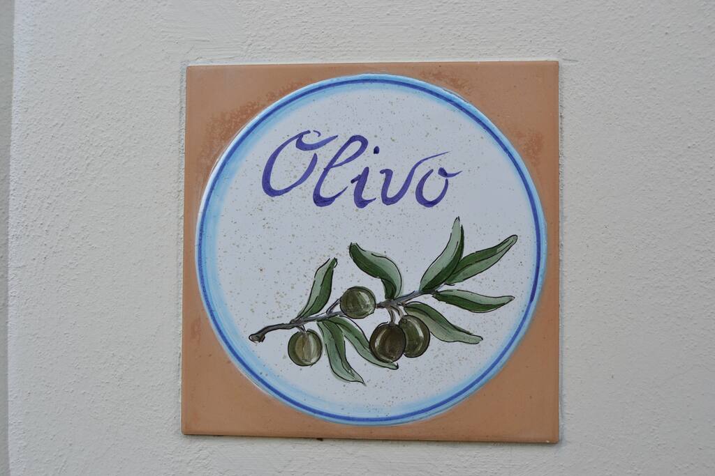 Olivo/Olivo apartment