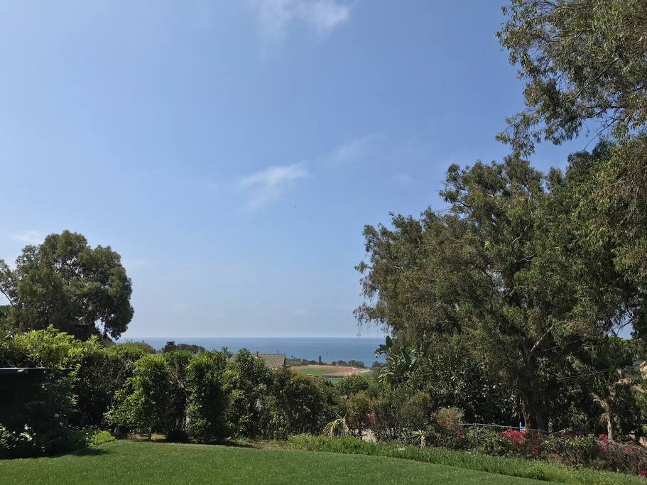 cute ocean view