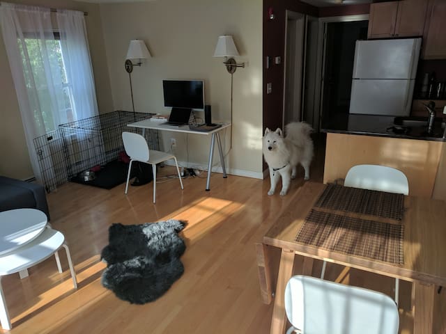 Cozy Bedroom in 2BD Apt in Kendall MIT
