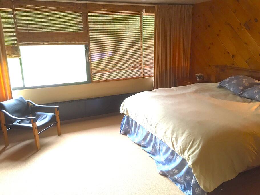 Master Bedroom with King bed