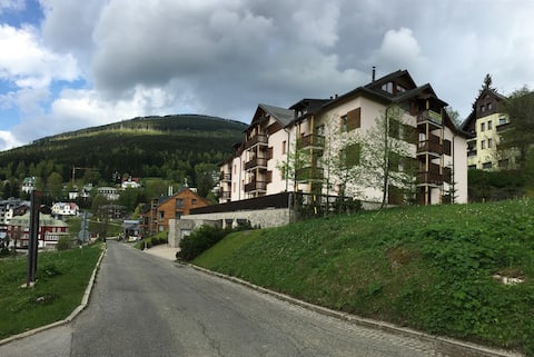 Successful Airbnb property: Nice apartment in Špindlerův Mlýn, house DALIBOR 1 in Vrchlabí