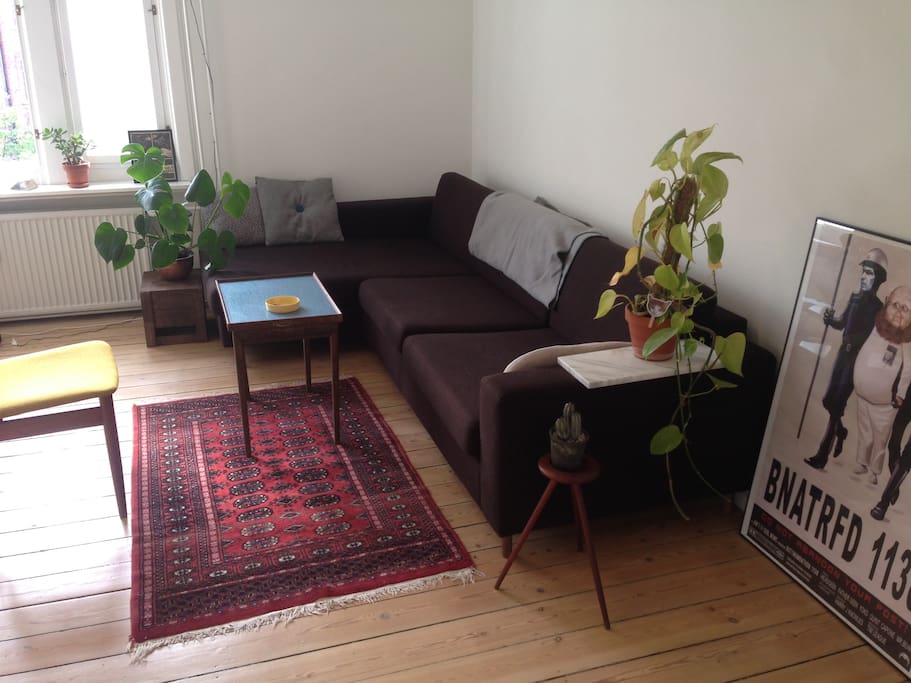 TV/hang out room