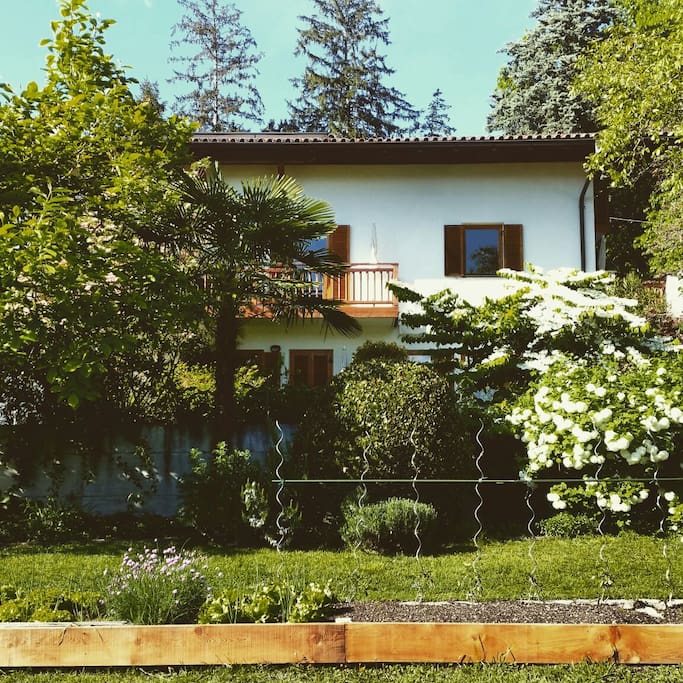 huge garden