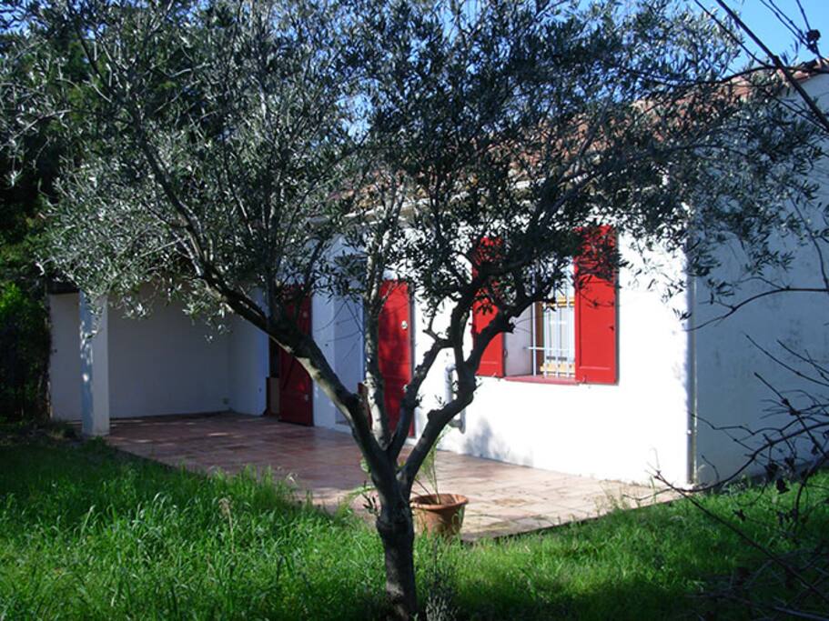 Extérieur avec jardin