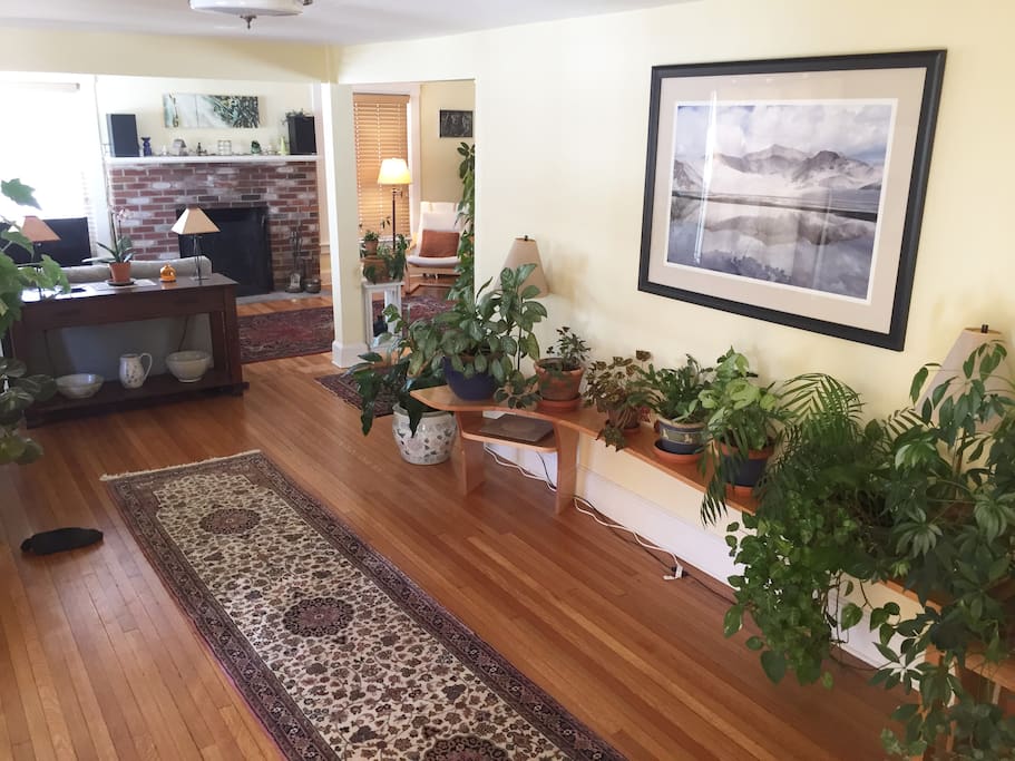 Foyer with the living room and fireplace in the background