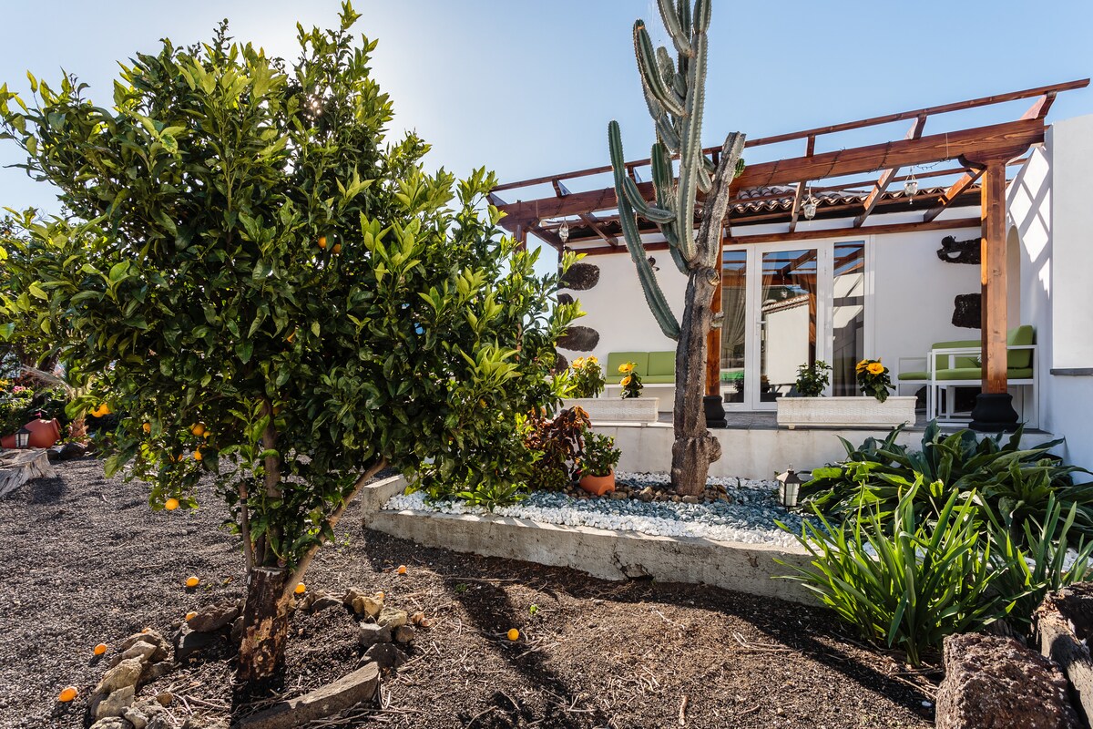 A garden area is featured, showcasing a vibrant tree with oranges and cacti against a backdrop of the bungalow. The structure displays a modern rustic design with a wooden pergola, providing shade for the outdoor seating, surrounded by a variety of plants and flowers.