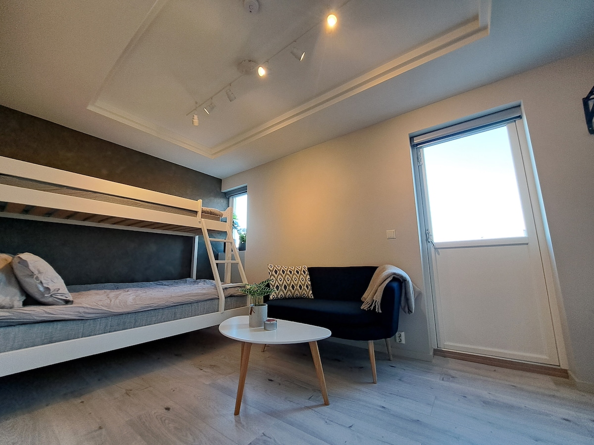 The studio apartment features a small double bed situated beneath a bunk bed, providing versatile sleeping arrangements. A blue sofa with a patterned cushion is positioned across from the beds, and natural light floods the room through two windows.