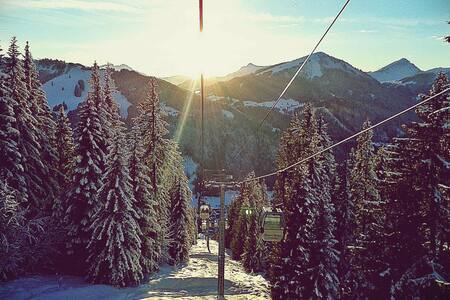 JollyGood, Le Sherpa-Room 8- Bunk