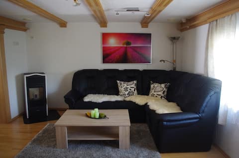 Large, quiet apartment  with  infrared cabin