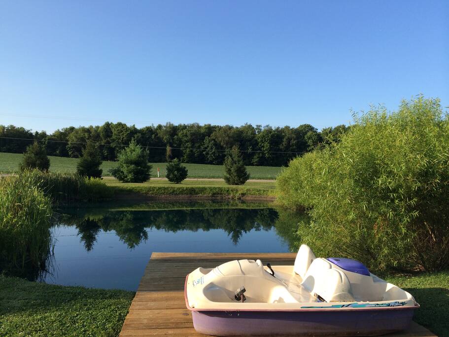 Pond