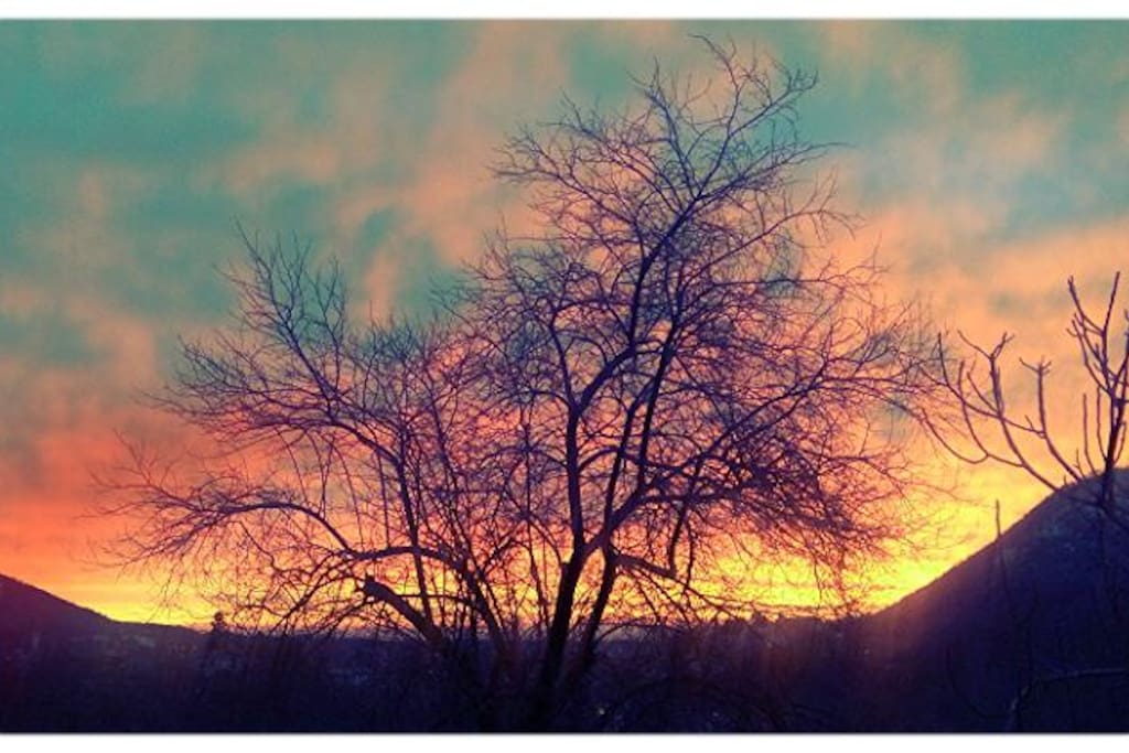 Il pruno ci separa dal tramonto.