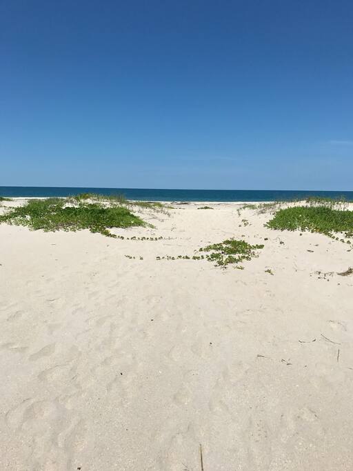 Lots and lots of white sand!
